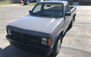 Dodge-Dakota-1989-2