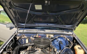 Dodge-Dakota-1989-20