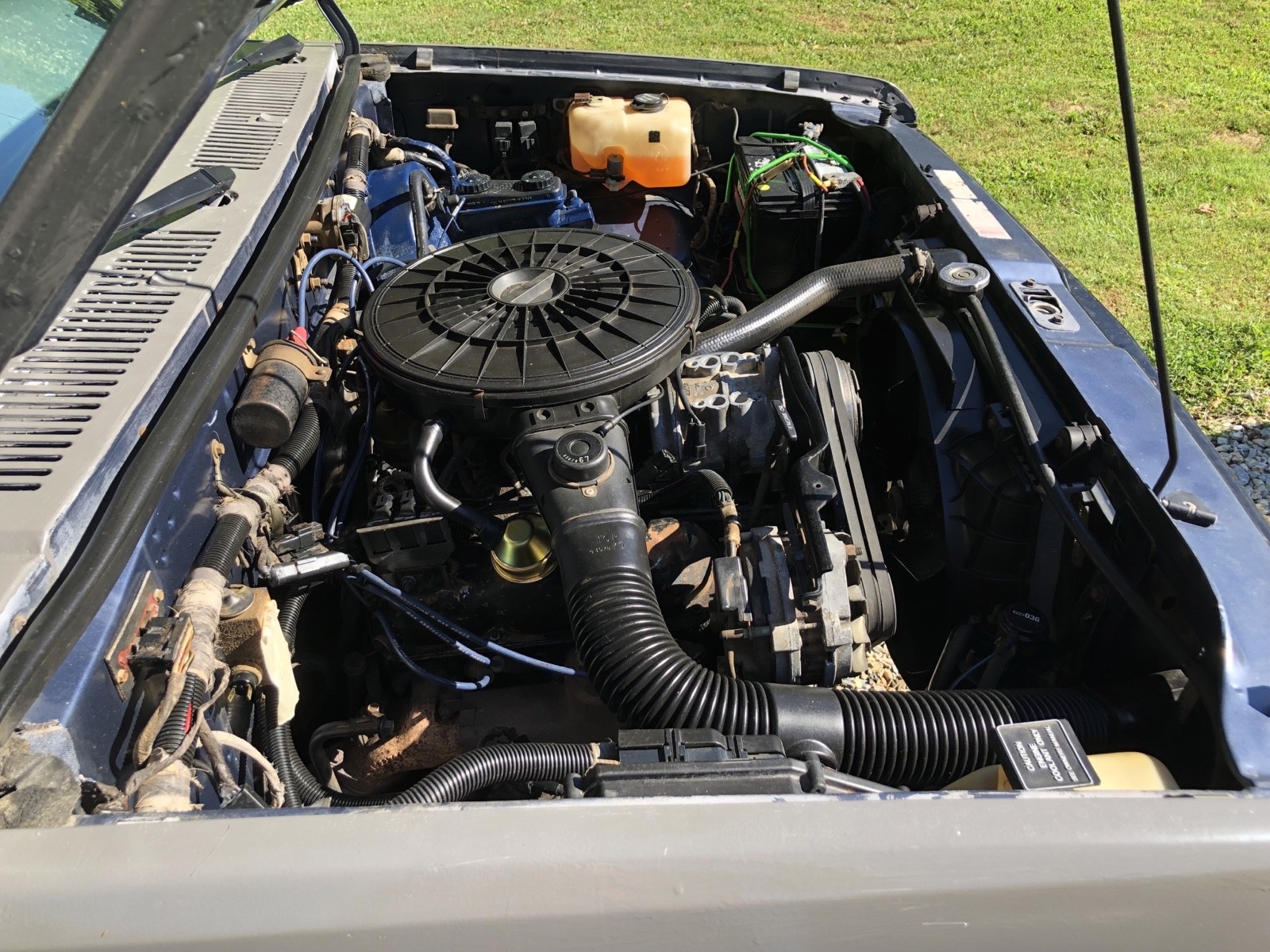 Dodge-Dakota-1989-21