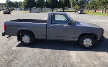 Dodge-Dakota-1989-3