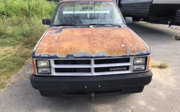 Dodge-Dakota-1989-4