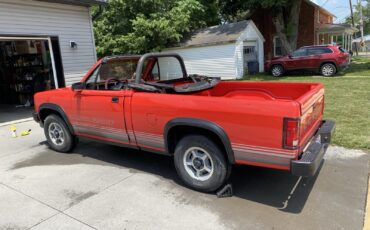 Dodge-Dakota-1989-4