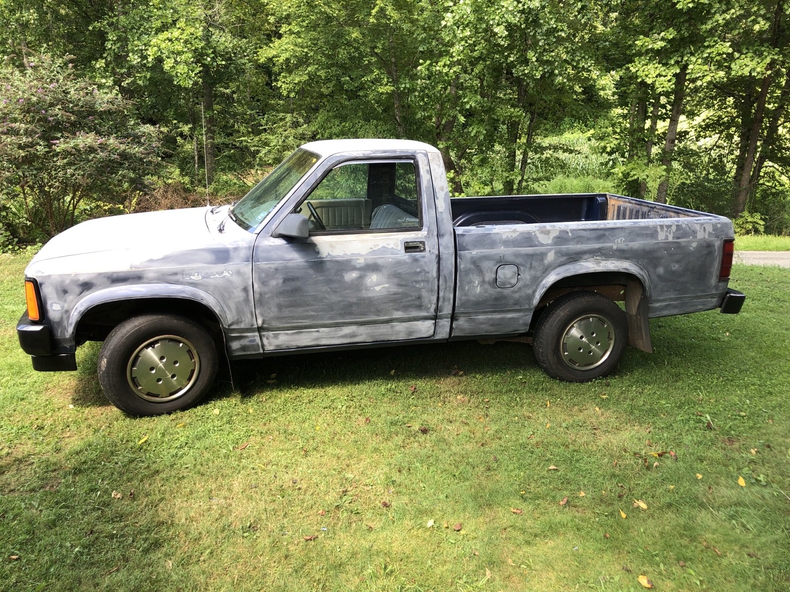 Dodge-Dakota-1989-5