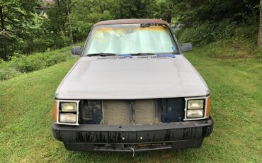Dodge-Dakota-1989-6