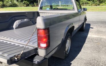 Dodge-Dakota-1989-7