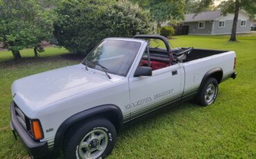 Dodge-Dakota-1989-Convertible-1