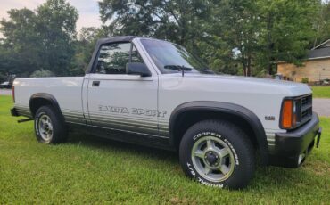 Dodge-Dakota-1989-Convertible-15