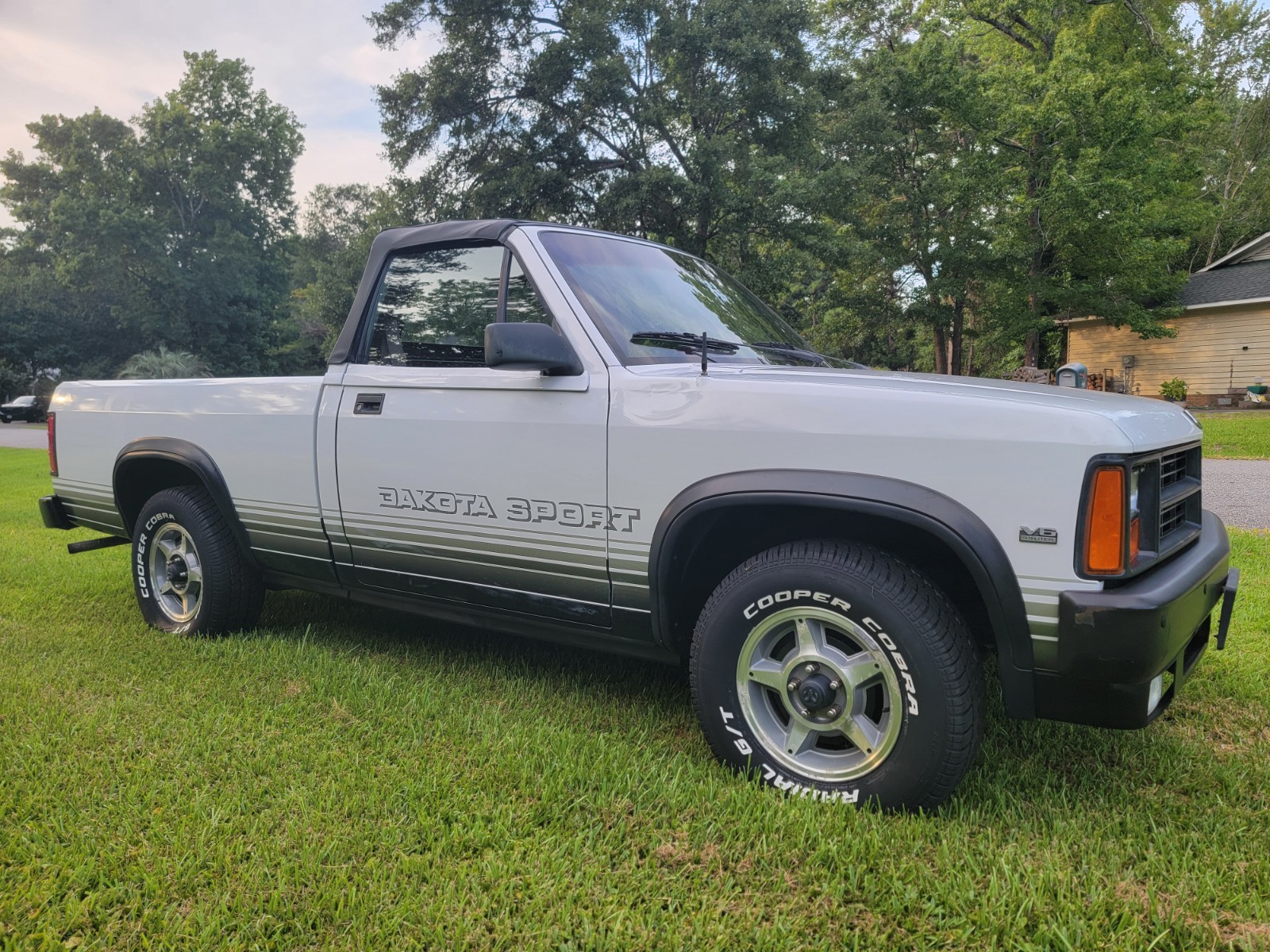 Dodge-Dakota-1989-Convertible-15
