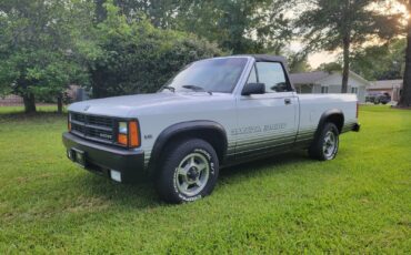 Dodge-Dakota-1989-Convertible-16