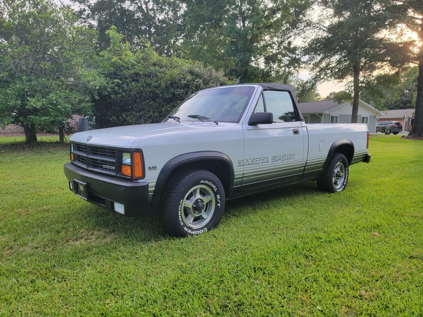 Dodge-Dakota-1989-Convertible-16
