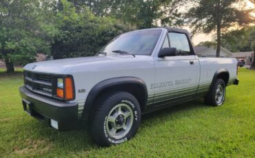 Dodge-Dakota-1989-Convertible-17