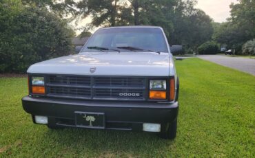 Dodge-Dakota-1989-Convertible-20