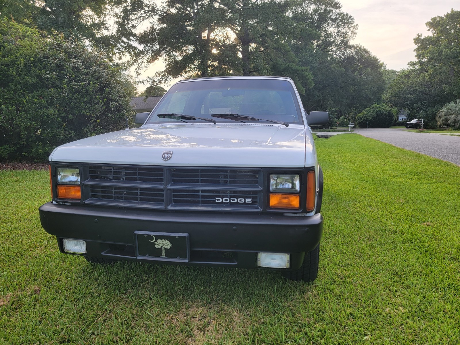 Dodge-Dakota-1989-Convertible-20