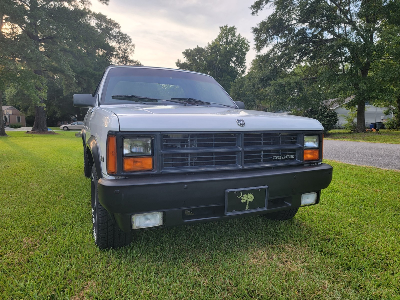 Dodge-Dakota-1989-Convertible-21