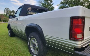 Dodge-Dakota-1989-Convertible-23