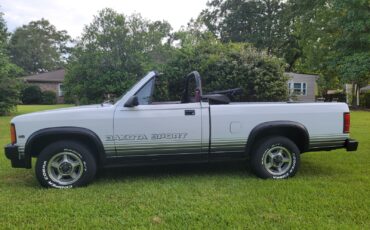 Dodge-Dakota-1989-Convertible