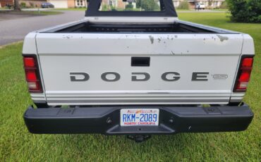 Dodge-Dakota-1989-Convertible-9