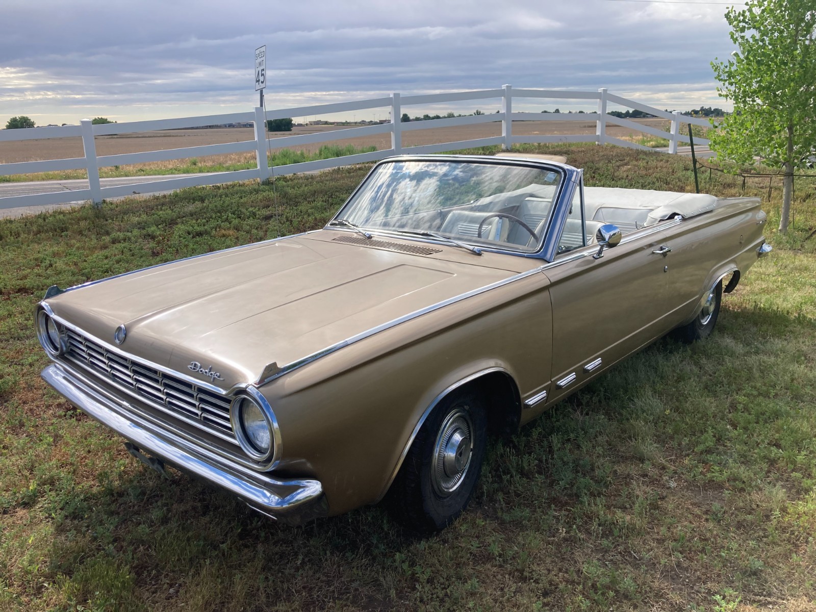 Dodge-Dart-1965-Convertible-16