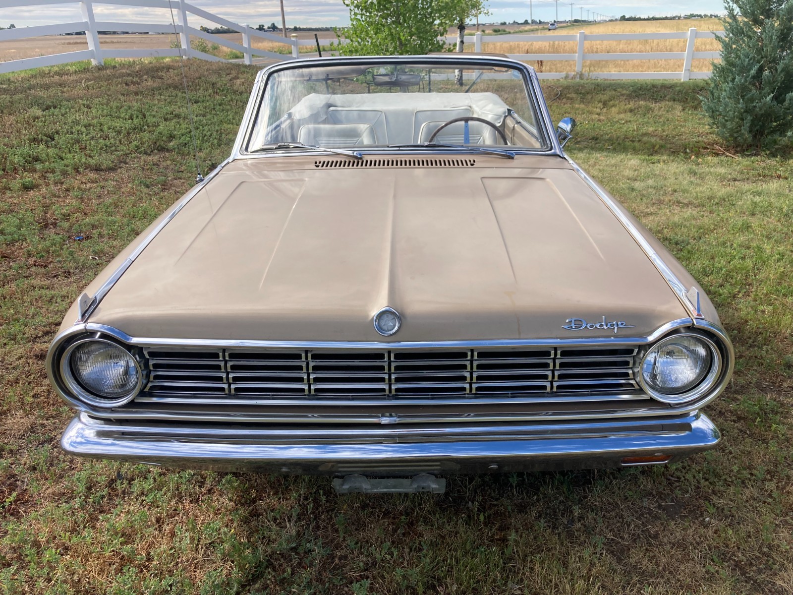 Dodge-Dart-1965-Convertible-17