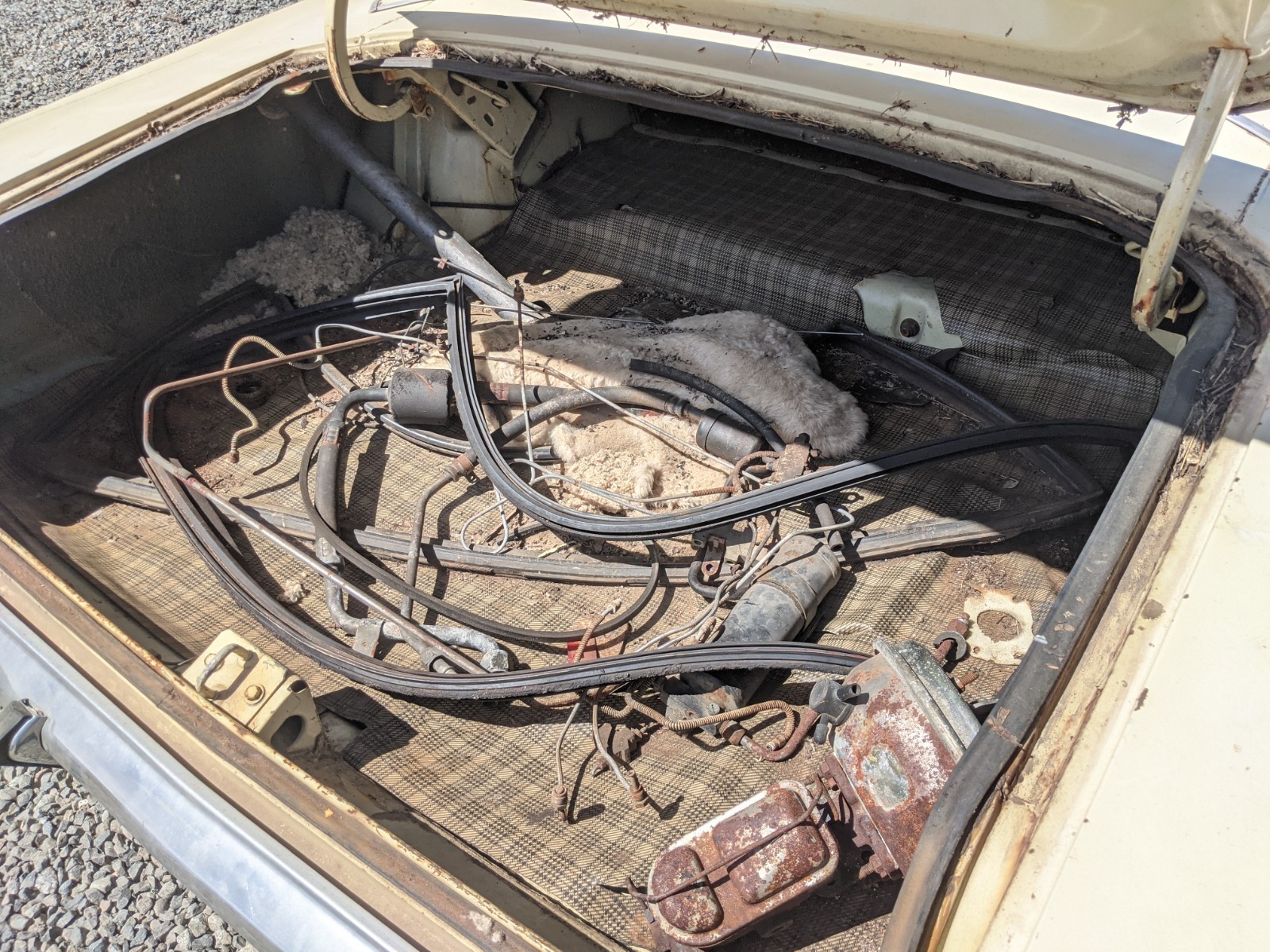 Dodge-Dart-1969-2dr-Sedan-12