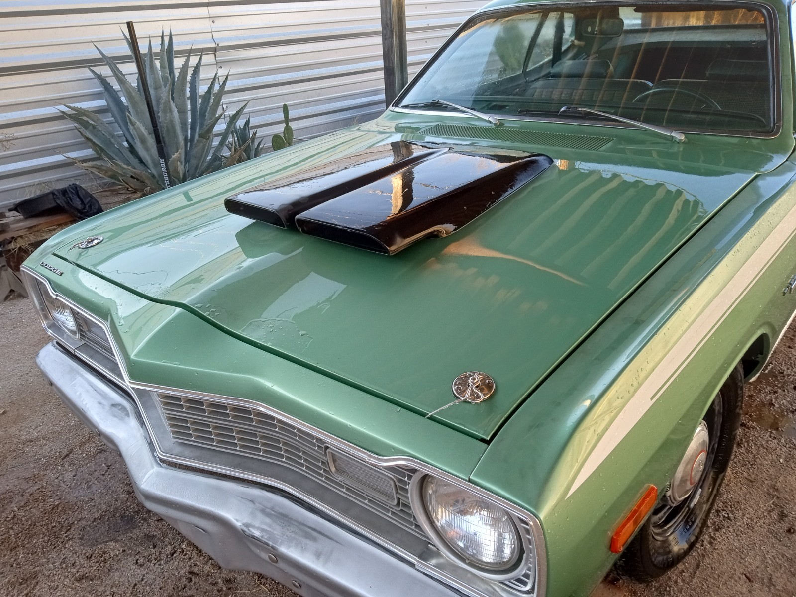 Dodge-Dart-1974-Coupe-4