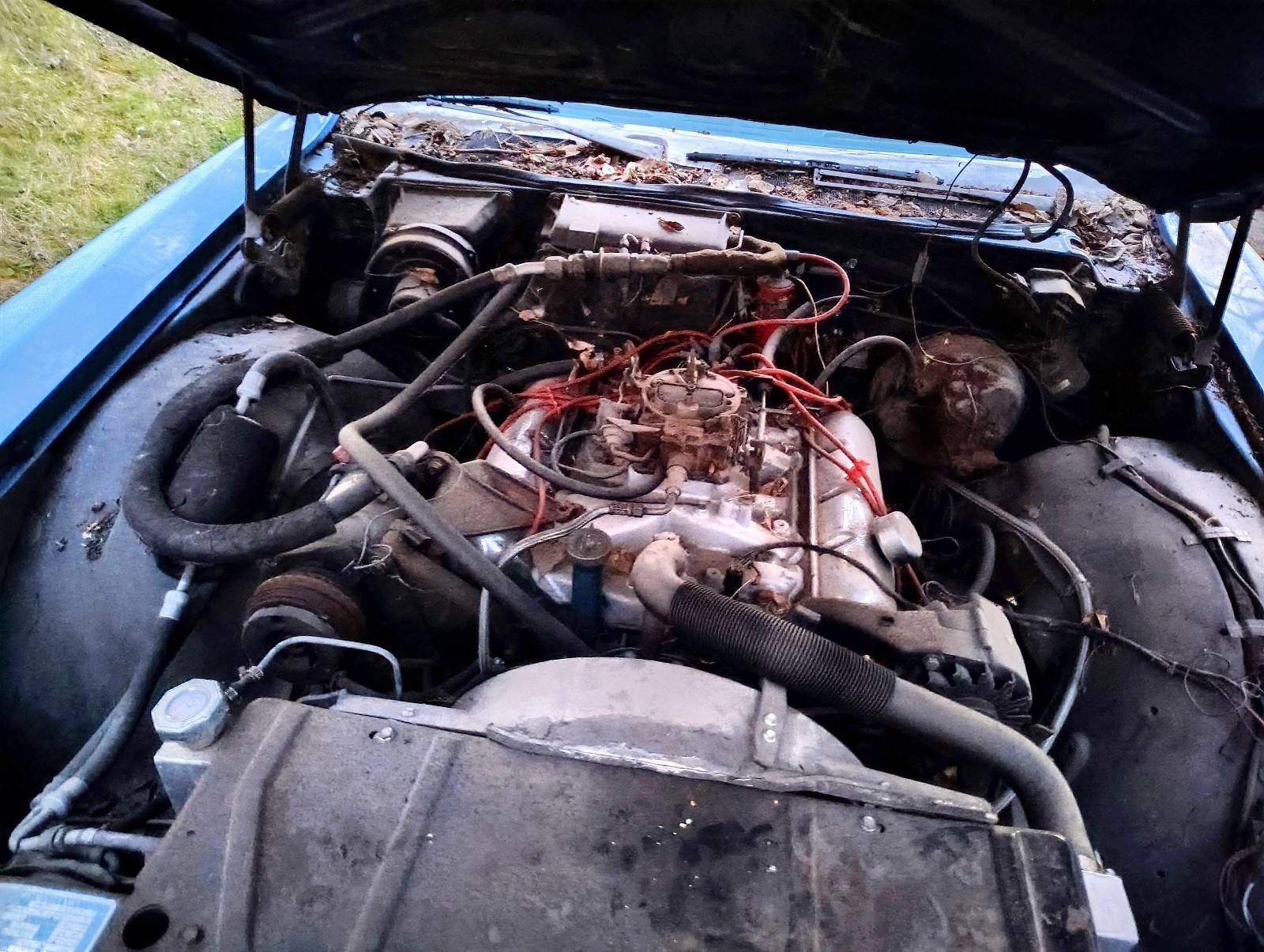 Dodge-Delta-88-1969-Sedan-11