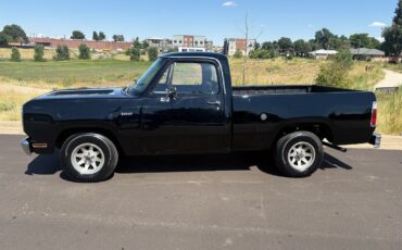 Dodge-Other-Pickups-1976-1