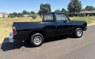 Dodge-Other-Pickups-1976-10