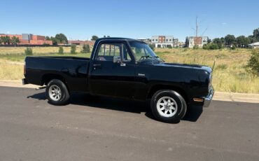 Dodge-Other-Pickups-1976-11