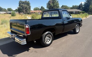 Dodge-Other-Pickups-1976-12