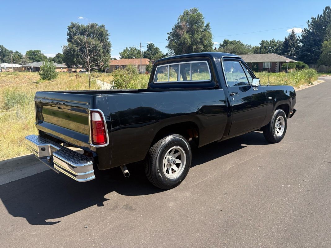 Dodge-Other-Pickups-1976-12