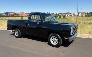 Dodge-Other-Pickups-1976-13