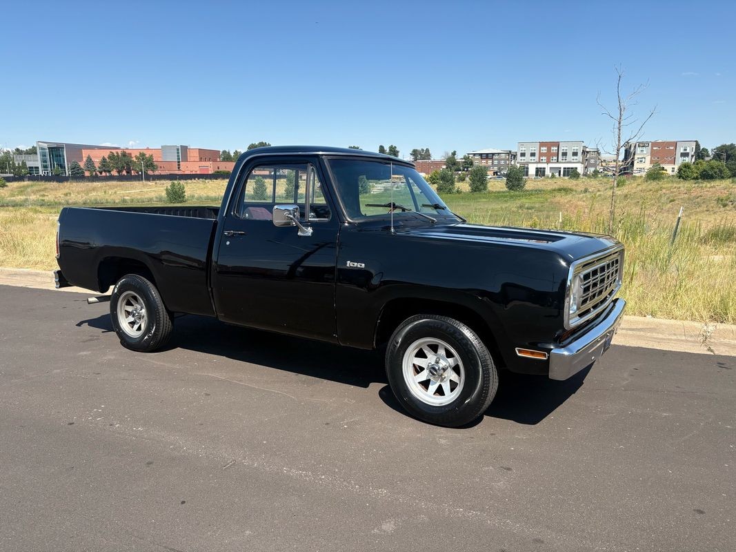 Dodge-Other-Pickups-1976-13