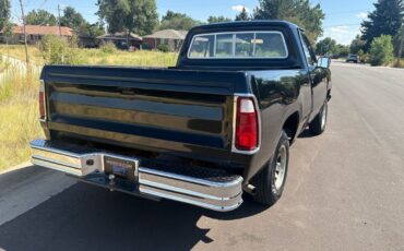 Dodge-Other-Pickups-1976-14