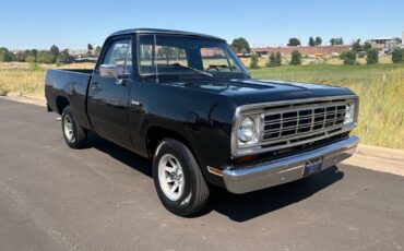 Dodge-Other-Pickups-1976-15