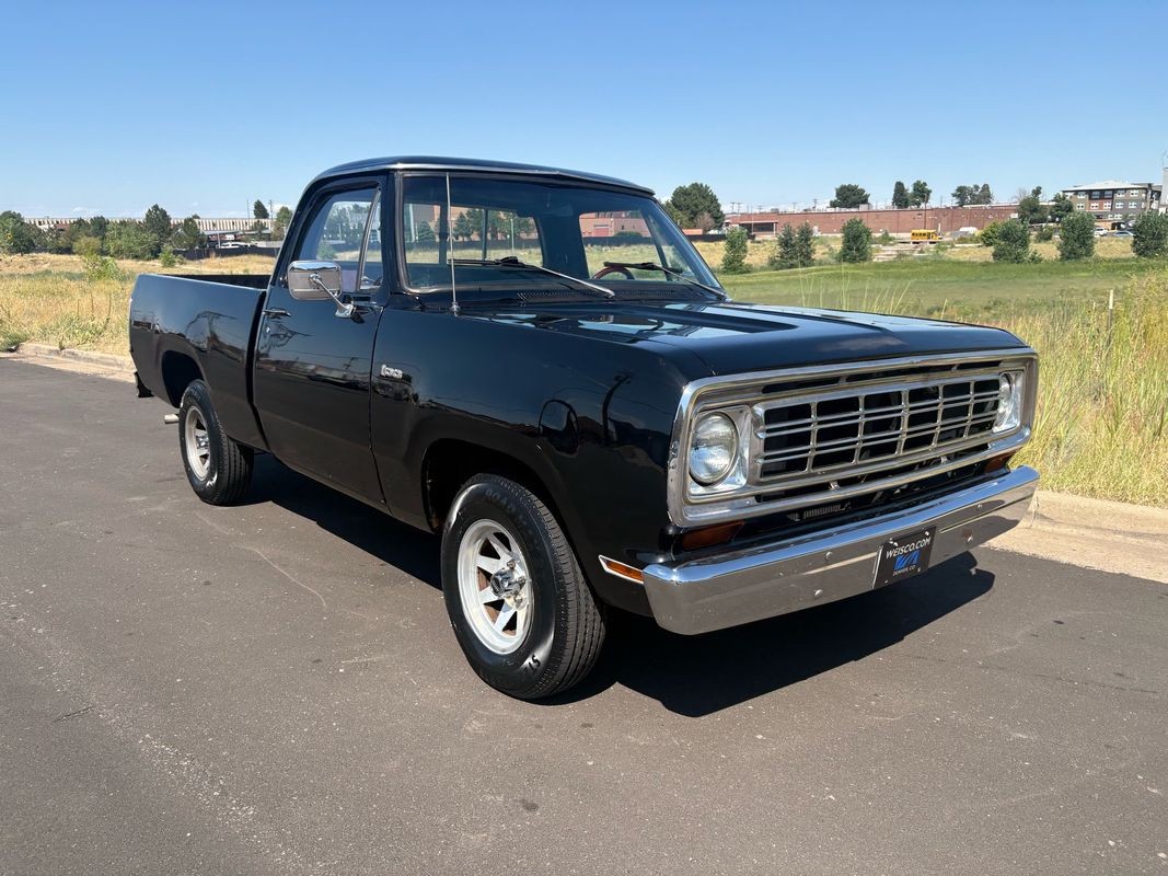 Dodge-Other-Pickups-1976-15
