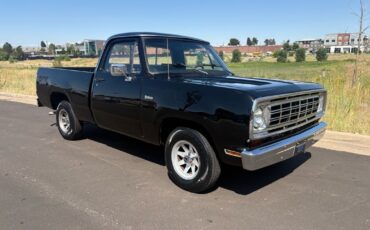 Dodge-Other-Pickups-1976-16