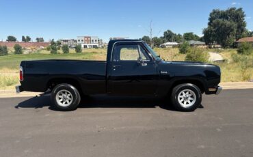 Dodge-Other-Pickups-1976-17