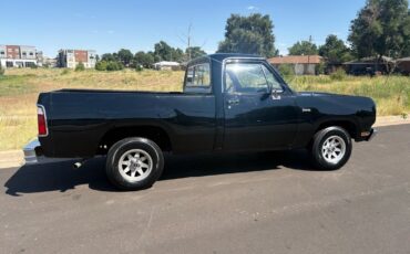 Dodge-Other-Pickups-1976-18