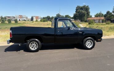 Dodge-Other-Pickups-1976-19
