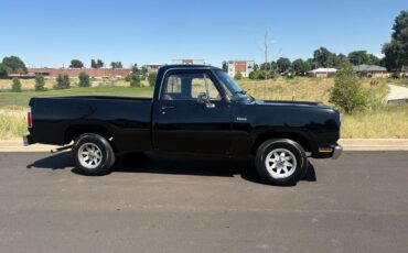 Dodge-Other-Pickups-1976-2