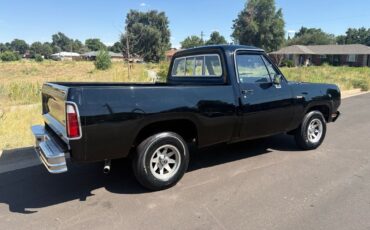 Dodge-Other-Pickups-1976-20