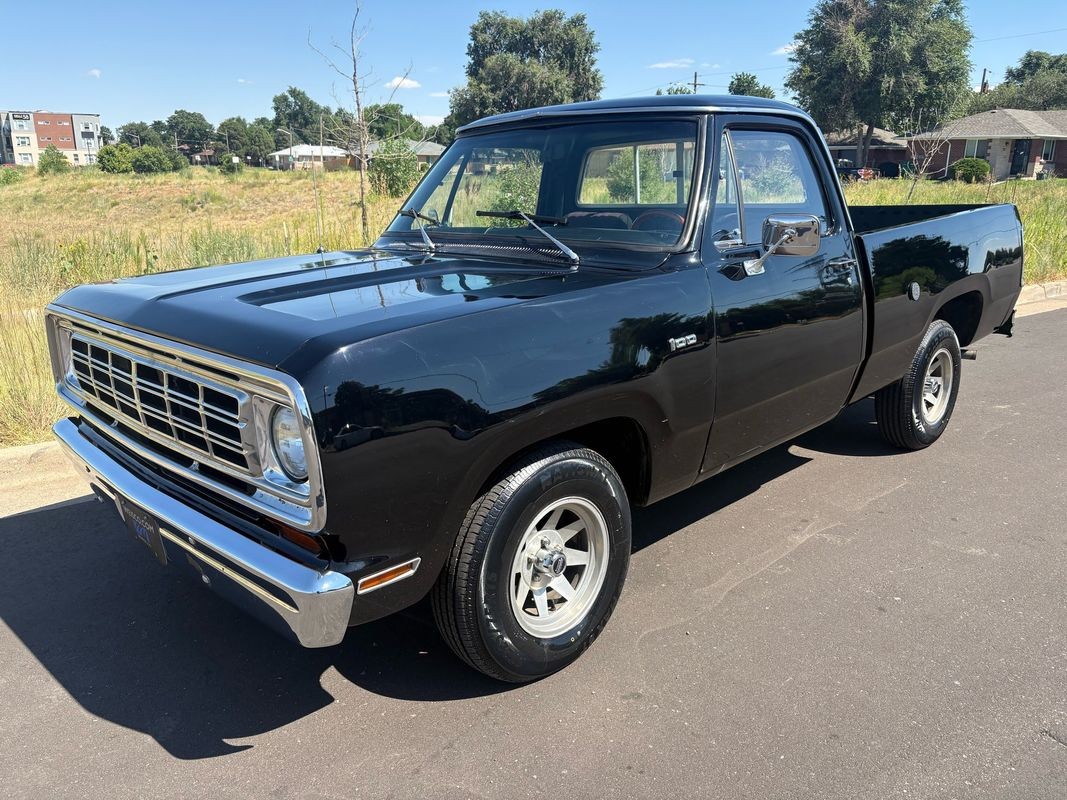 Dodge-Other-Pickups-1976-21