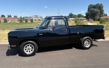 Dodge-Other-Pickups-1976-22