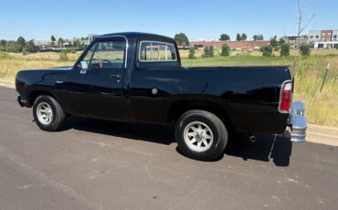 Dodge-Other-Pickups-1976-23