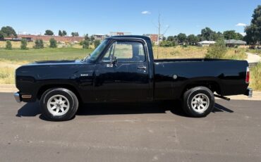 Dodge-Other-Pickups-1976-24