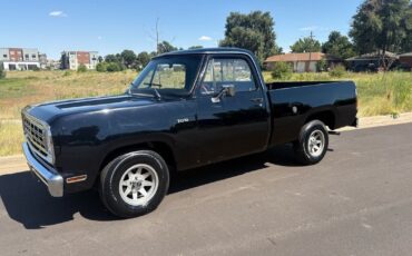Dodge-Other-Pickups-1976-25