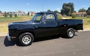Dodge-Other-Pickups-1976-26