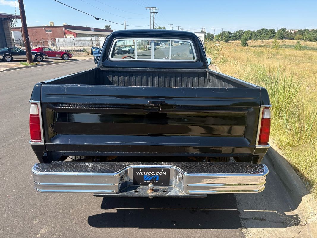 Dodge-Other-Pickups-1976-27