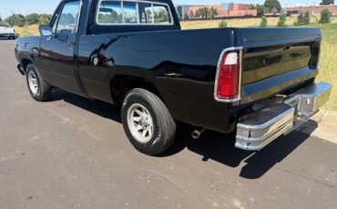 Dodge-Other-Pickups-1976-29
